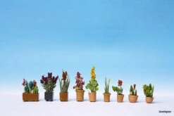 14012 Noch Zierpflanzen In Blumentöpfen