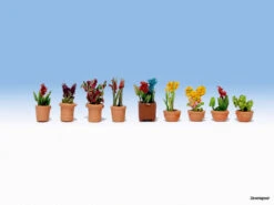 14080 Noch Zierpflanzen In Blumentöpfen