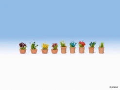 14084 Noch Blumen In Blumentöpfen