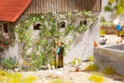 14132 Noch Wilder Wein