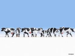 15725 Noch Kühe, Schwarz-weiß