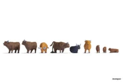 15728 Noch Hochlandrinder