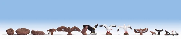 15775 Noch Vögel 1 15775 Noch Vögel