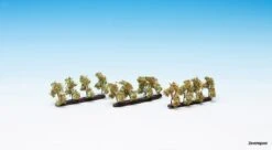 21532 Noch Plantagenbäume Mit Äpfeln