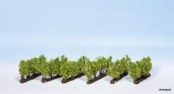 21540 Noch Weinreben