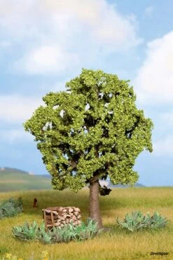 21690 Noch Hainbuche