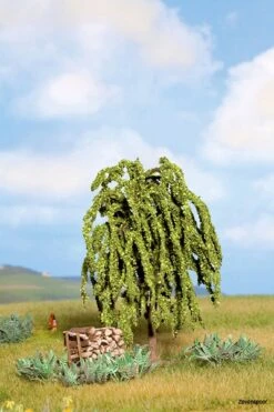 21770 Noch Trauerweide