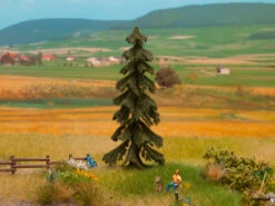 21919 Noch Wetterfichte