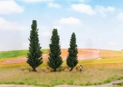 21998 Noch Zypressen