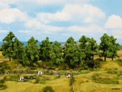 24603 Noch Laubbäume