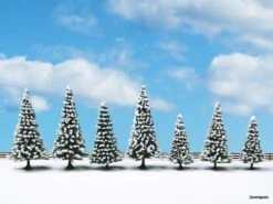 25087 Noch Schneetannen