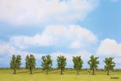 25088 Noch Laubbäume