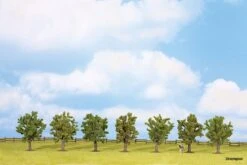 25090 Noch Obstbäume