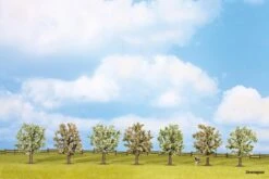 25092 Noch Obstbäume