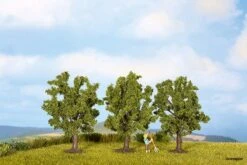 25110 Noch Obstbäume