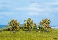 25114 Noch Orangenbäume