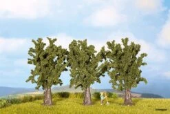 25150 Noch Bergahorne