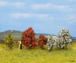 25420 Noch Sträucher