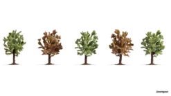 25615 Noch Obstbäume Blühend