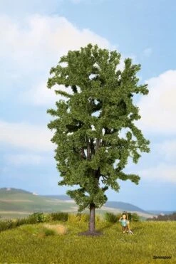 25895 Noch Rosskastanie