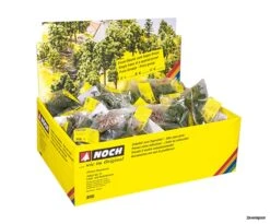 25952 Noch Laub- Und Nadelbäume