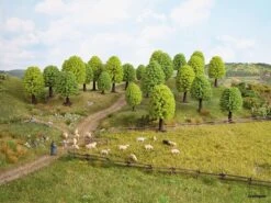 26801 Noch Laubbäume