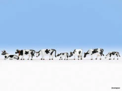 36721 Noch Kühe, Schwarz-weiß