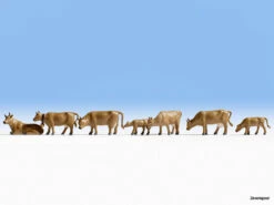 36722 Noch Kühe, Dunkelbraun