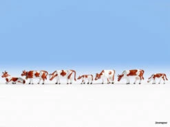 36723 Noch Kühe, Braun-weiß