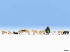 36750 Noch Schafe Und Schäfer