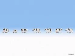 44250 Noch Kühe, Schwarz-weiß