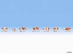 44251 Noch Kühe, Braun-weiß