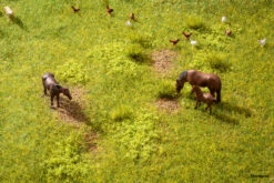 60771 Noch Vegetations-Startset “Wiese”