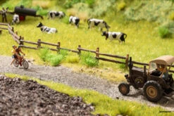 60773 Noch Vegetations-Startset “Am Wegesrand”