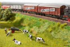 60775 Noch Vegetations-Startset “Bahndamm”