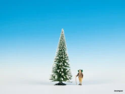 68047 Noch Schneetanne