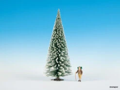 68049 Noch Schneetanne