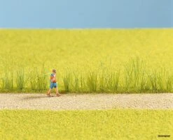 7060 Noch Schilfgras-Sortiment