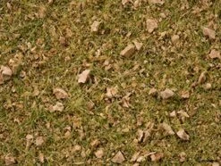 7075 Noch Master-Grasmischung Almwiese