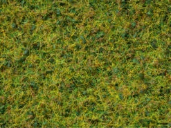 7077 Noch Master-Grasmischung “Kuhweide” 2,5 Bis 6 Mm, 100 G