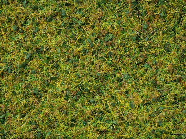 7077 Noch Master-Grasmischung Kuhweide 2,5 Bis 6 Mm, 100 G 1 7077 Noch Master-Grasmischung Kuhweide 2,5 Bis 6 Mm, 100 G