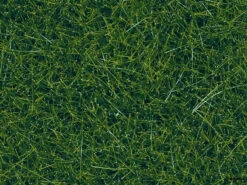 7099 Noch Wildgras XL Dunkelgrün, 12 Mm, 80 G