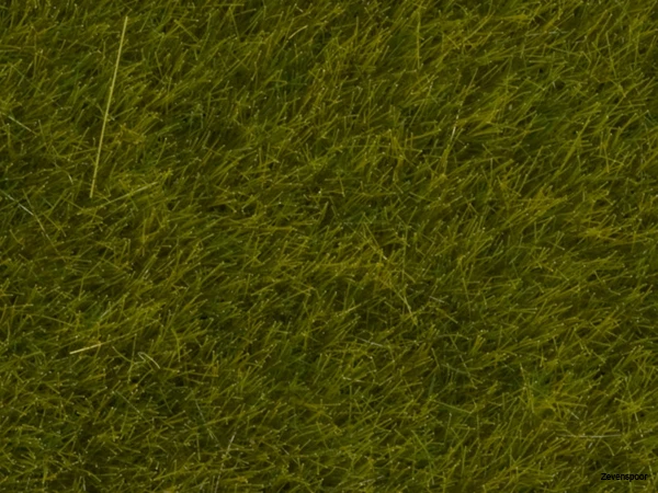 7100 Noch Wildgras Wiese 2 7100 Noch Wildgras Wiese - Afbeelding 2