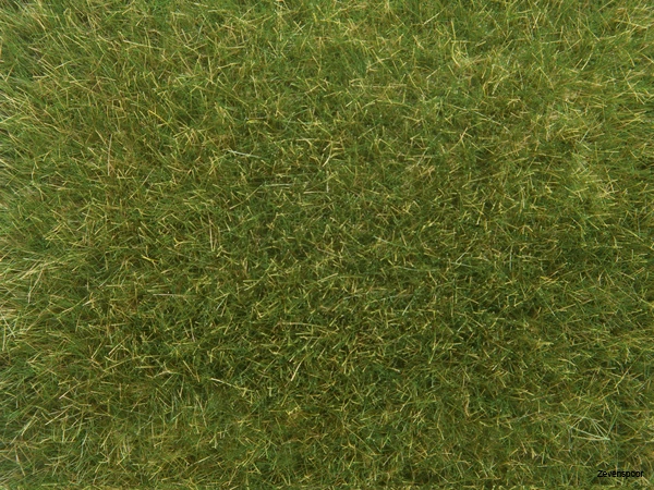 7118 Noch Wildgras 1 7118 Noch Wildgras