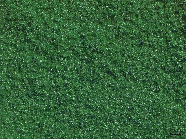 7242 Noch Flockage 1 7242 Noch Flockage