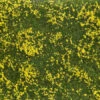 7255 Noch Bodendecker-Foliage Wiese Gelb