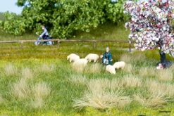 7402 Noch Natur+ “Wiese Frühling”