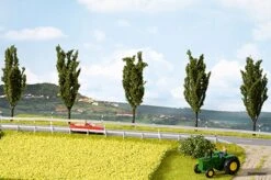 7420 Noch Natur+ Rapsfeld