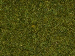 8152 Noch Streugras Wiese