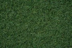 8320 Noch Streugras Moorboden